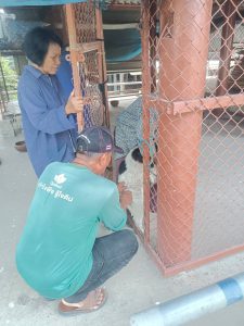 โครงการสัตว์ปลอดโรค คนปลอดภัยฯ ประปีงบประมาณ พ.ศ.2568 องค์การบริหารส่วนตำบลกระแชงออกฉีดวัคซีนสุนัข-แมว ในพื้นที่