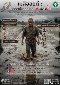 ทำความรู้จัก “โรคไข้ดิน”หรือ “เมลิออยด์”